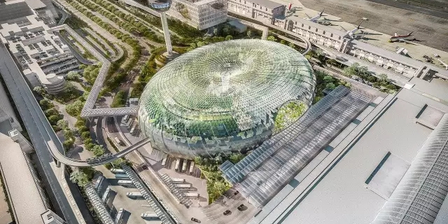 在飛機(jī)場(chǎng)里造了個(gè)森林，從此再也不怕飛機(jī)晚點(diǎn)~