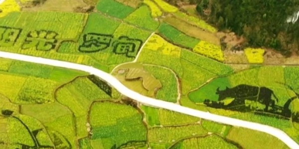 土地的涅槃｜全域土地綜合整治為何爆火？設(shè)計(jì)院如何搶占風(fēng)口？